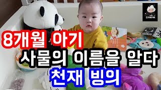 8개월 아기 물건의 이름을 벌써 알다? (천재 빙의) (왕똑똑주의) 아들바보 엄마의 뿌듯영상 판다베이비 @pandababy