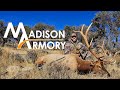 2023 Idaho Bull Elk Public Land Hunt - Madison Armory