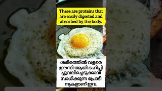 പനിയുള്ളപ്പോൾ ചിക്കനും മുട്ടയും കഴിക്കാമോ...?Can you eat chicken andeggs when you have fever?#shorts