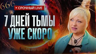 Нумеролог-контактёр предупредила про точки входа Антихриста, 666 Илона Маска | Мара Боронина