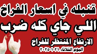 اسعار الفراخ البيضاء اليوم سعر الفراخ البيضاء اليوم الثلاثاء ٢١-١-٢٠٢٥ في المحلات في مصر