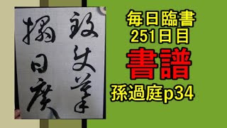 毎日臨書251日目 書譜　p34　孫過庭　草書 everyday shodo 書道