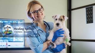 Healing Springs | Surgical Safety