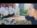 my succulent garden tour part 1