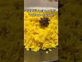 Restaurant-Quality Indian Turmeric Rice Recipe #shorts