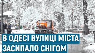 Як мешканці Одеси зустріли перший у 2021-му році сніг