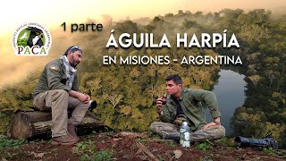 Expedición Águila Harpía en Misiones: Un Hallazgo Único para la Conservación de la Selva | 1 PARTE