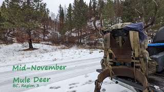 Backcountry Mule Deer Hunting - BC, Region 3 Nov 2022