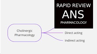 Autonomic Nervous System Pharmacology - Rapid Review with Mind map (Part 1)