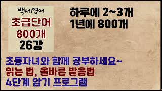 (초급단어26)  동물과 관련된 기초영어단어 | 하루 2~3개씩 ! 1년에 완성 ! | 초등자녀와 함께 공부하세요   | 기초 영단어 800개 1년 프로젝트