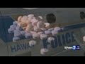 Hawaii police investigates suspected fentanyl-related overdoses