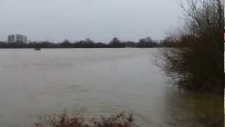 Hochwasser Kinzig-See Langenselbold