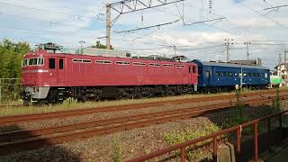 EF81 97 + 客車 スハフ42 2234 + スイッチャーNO.2 【2022/09/17】 #AT #ATゲート