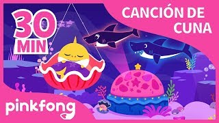 Las Mejores Canciones de Cuna | Tiburón Bebé | +Recopilación | Pinkfong Canciones Infantiles