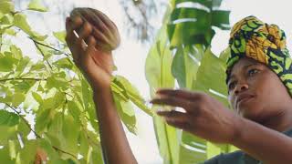 Loacker USA | Sustainable Cocoa Farming Program