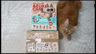 ASMR Unboxing gatito Asukisan cajitas misteriosas