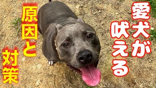 【ご近所迷惑】愛犬が吠える原因と対策と解決法