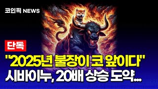 [시바이누 코인 전망] 초대형 고래 매집 신호 포착… 20배 상승 도약 임박?! 토큰 소각도 한몫하다!!