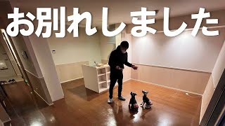 たくさんの思い出をありがとう【シュナウザー多頭飼い】