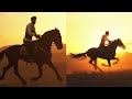 Sunset Never look back //🐎// Horse Riding Whatsapp Status // #short #horseriding