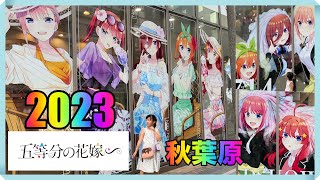 2023年の夏の思い出！アトレ秋葉原が五等分の花嫁∽ だらけ！巨大な五つ子ちゃんに女子小学生ラブライバーが驚き！ノベルティで推しの四葉ちゃんは出る？コラボイベント限定グッズのアイスバーやゼリーは完売？