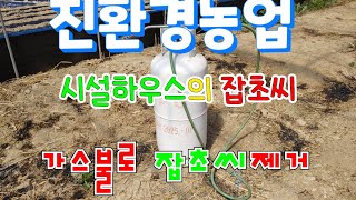 친환경농업 시설하우스의 잡초씨 가스불로 제거하기