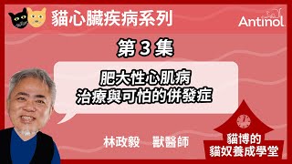 貓心臟系列_第3集｜肥大性心肌病_治療與可怕的併發症｜貓博的貓奴學堂