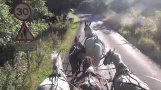 5 in hand carriage driving. 4 ponies and a horse together.