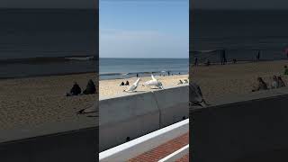 Spontanes Osterkonzert 🐣 an der Sylt Promenade in Westerland | Ostern 2023