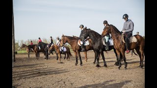 Hubertus 2019 Pogoń za listem | BYNDAS HORSES