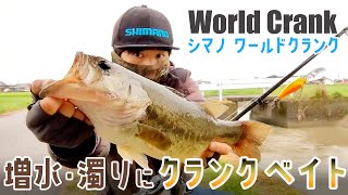 増水濁りのバス釣りに効くクランクベイト！ワールドクランク！！やはり濁りに強いキョウリンクロキン！（バス釣り・クリーク・狂鱗カラー）