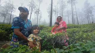 മഴക്കാലത്തൊരു മസിനഗുടി ഊട്ടി യാത്ര🌧️⛰️