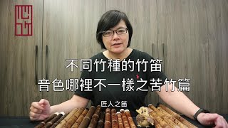 不同竹種的竹笛音色哪裡不一樣之苦竹篇 |【匠人之笛】