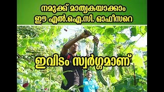 പൊട്ടിക്ക കൃഷിയിൽ വിജയം