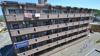 ﾊﾟﾗﾀﾞｲｽ西条410｜ｱﾊﾟﾏﾝｼｮｯﾌﾟ広島大学前店｜東広島市西条下見｜賃貸｜ﾏﾝｼｮﾝ｜1K｜