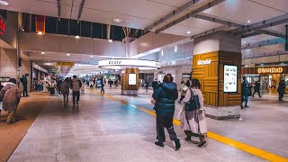 立川の夜散歩 4K 2023年2月③（Night Walk in Tachikawa, Tokyo - 2023 Feb. part 3）