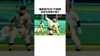 日米15球団が注目する『偏差値70』のドラ1候補に関する雑学 #高校野球 #ドラフト候補 #プロ野球 #雑学 #野球 #森井翔太郎