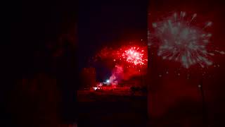 688发 超级孔雀 #live #fireworks #liuyangfireworks