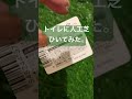 トイレに人工芝をひいてみた結果…。 シングルマザー トイレ　 diy 人工芝の使い方笑