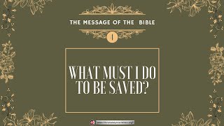 The Message of the Bible #4 'What must I do to be saved - Believe in Jesus..is that all?