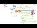 12-9 Oxidative Phosphorylation & Chemiosmosis (Cambridge AS A Level Biology, 9700)