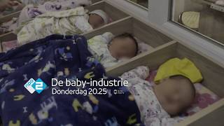 Pasgeboren baby's wachten op hun ouders