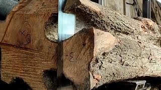 woodworking. pecahan kayu terkeras didunia seperti batu super alot mata graji rontok sawmill