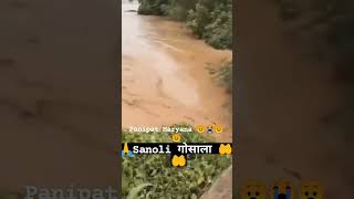 #Flood in #fatehabad #Ratia and #Jakhal #mansoon in #india #biggest #flood videos #punjab #haryana