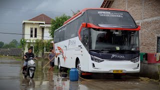 Kesibukan di Garasi Bus Pesona Setelah Pulang Trip Berhari-hari [ASMR]