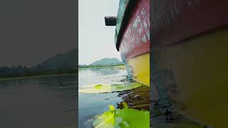 kondakarla bird sanctuary #ytshorts #photography #viral #travel #lake