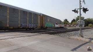 CSX M276 Autorack Greenwich, Ohio September 14, 2024 Part 6