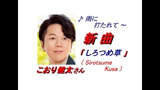 こおり健太さんの新曲｢しろつめ草(Shirotsume Kusa)(一部歌詞付)｣23/05/17発売新曲報道ニュースです。