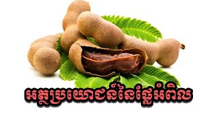 អត្ថប្រយោជន៍ផ្លែអំពិល, Benefits of Tamarind-The Next Cambodia Health (2020)