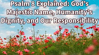 Psalm 8 Explained: God’s Majestic Name, Humanity’s Dignity, and Our Responsibility #psalm8 #humility